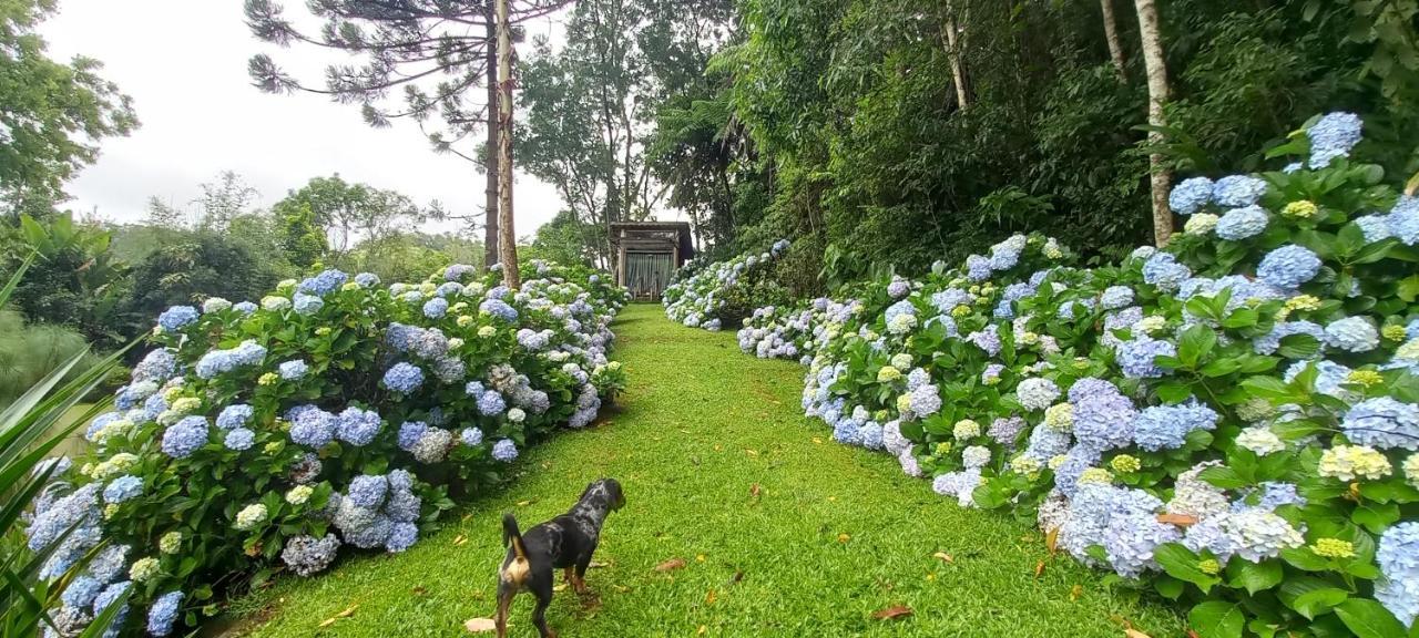 Vale Do Piemonte "Chales " Santo Antônio do Pinhal Dış mekan fotoğraf